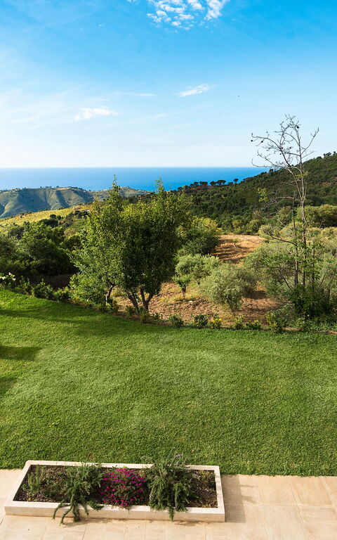 Casita: Have, Udendørs, Udvendige