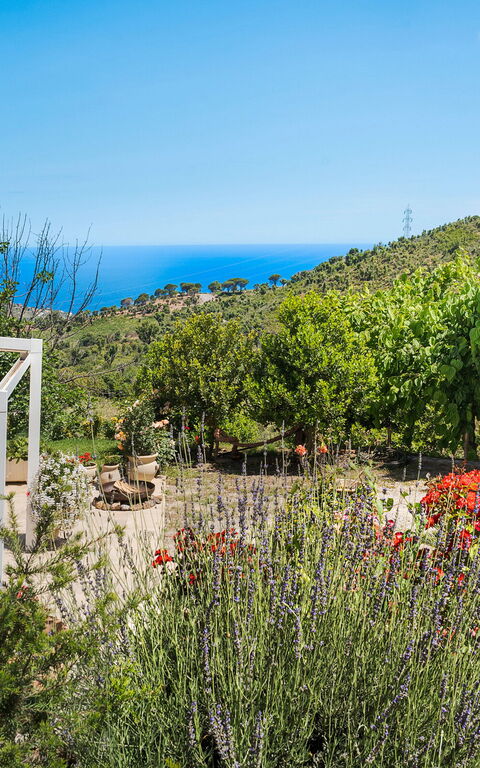 Casita: Altan / terrasse / gårdhave, Udendørs, Udvendige