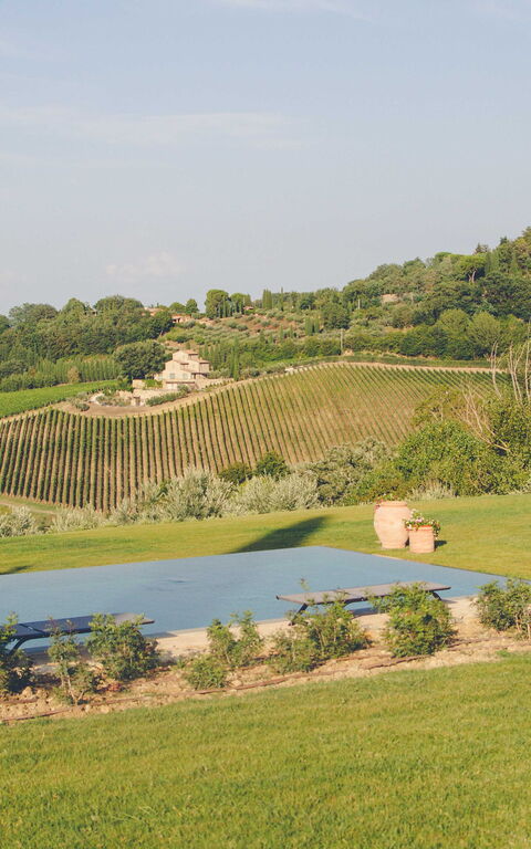 Villa Icario: Have, pool, Udendørs, Udvendige