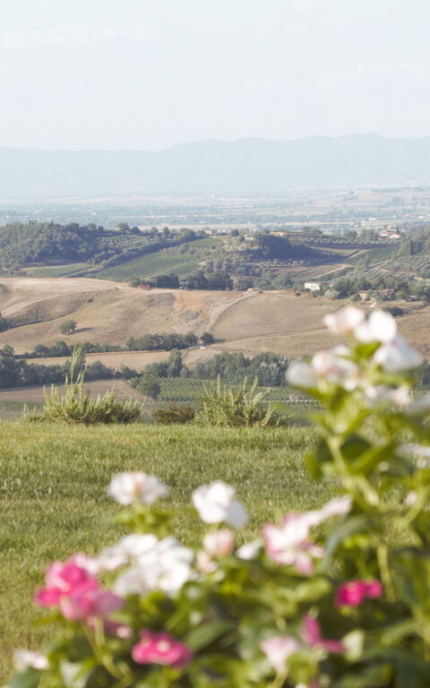 Villa Icario: Have, Udendørs, Udvendige, Visninger