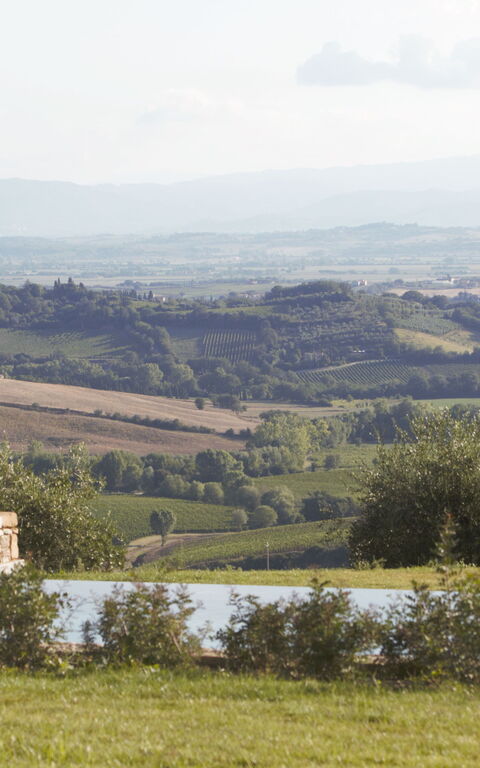 Villa Icario: Have, pool, Udendørs, Udvendige, Visninger