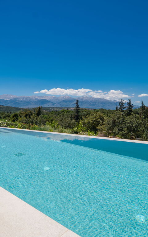 Villa Melia: pool, Udendørs