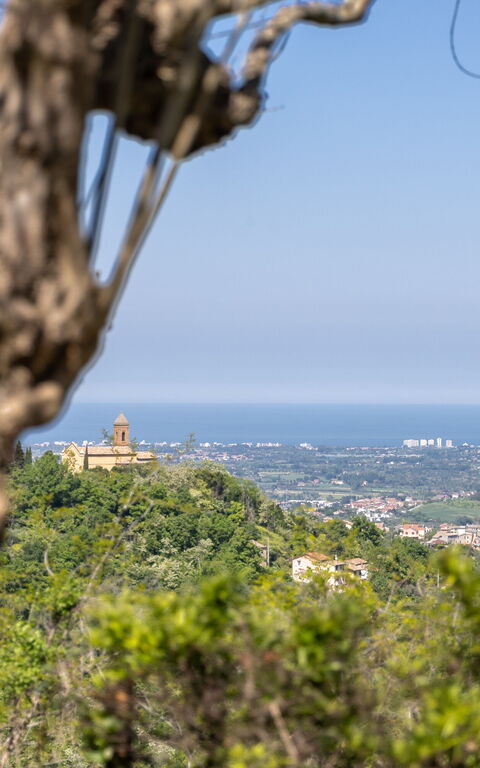 Villa Belvedere San Bartolo: Visninger