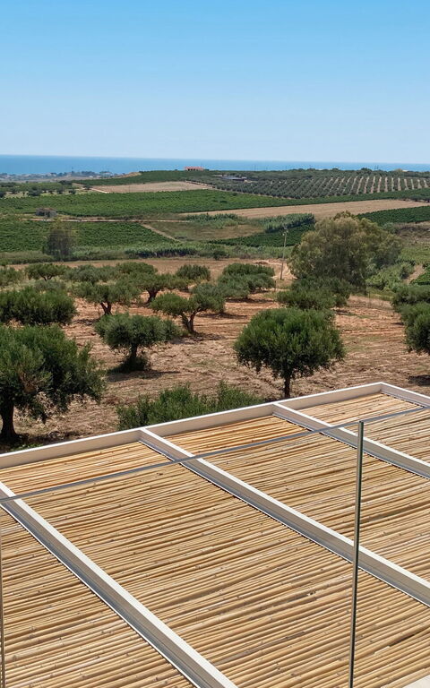 Terra di Bertolino: pool, Visninger