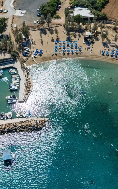 Ayia Triada Beach Gardens: Visninger