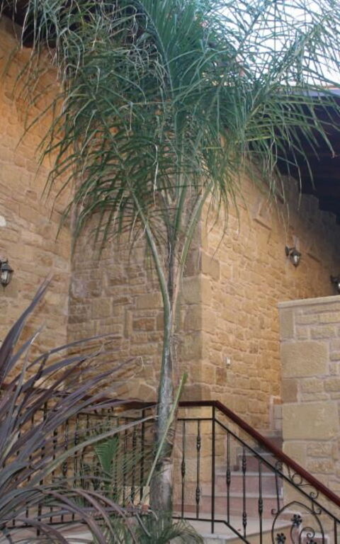 Palazzo Loupassi