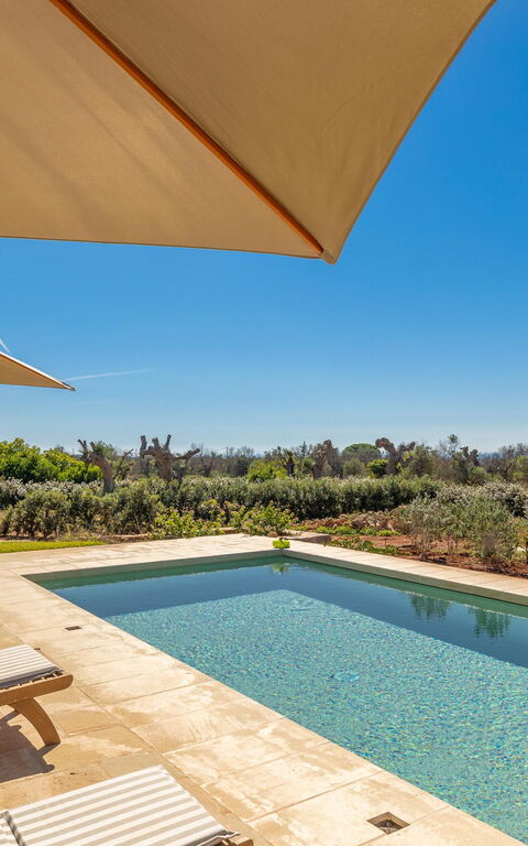 Villa del Cedro: pool, Udendørs, Udvendige