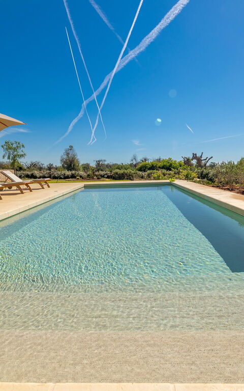 Villa del Cedro: pool, Udendørs, Udvendige