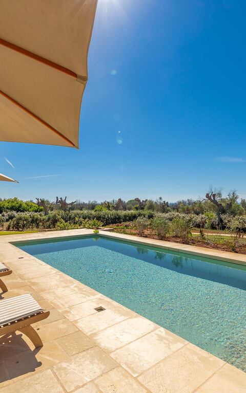 Villa del Cedro: pool, Udendørs, Udvendige
