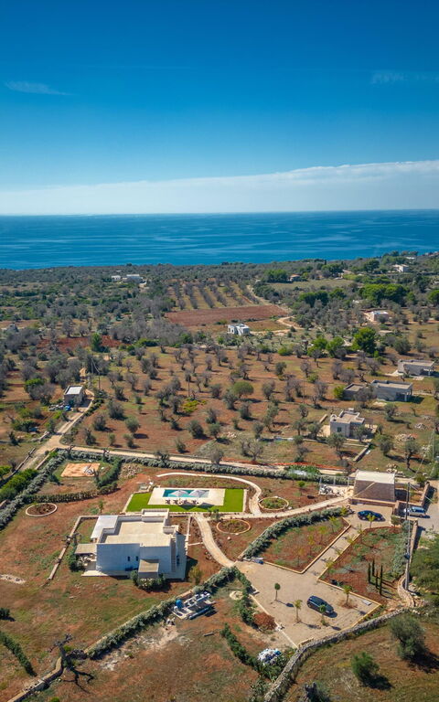 Villa del Cedro: Visninger