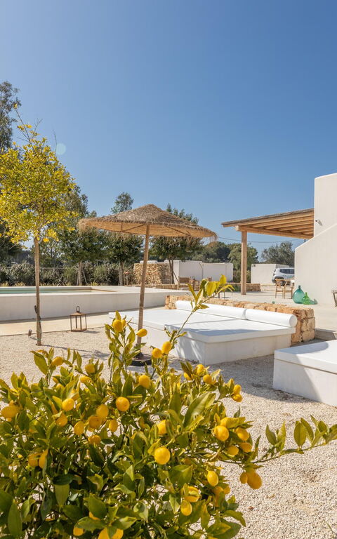 Villa Panacea: Udendørs, Udvendige