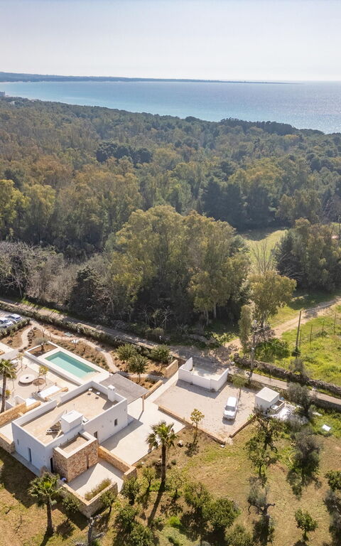 Villa Panacea: Have, Visninger