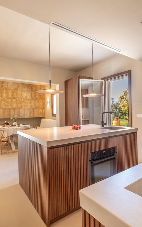 Villa Panacea: Køkken