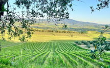 Foto indsendt af gæst på Villa Chiugi