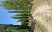 Foto indsendt af gæst på Villa Gualchiere