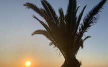 Foto indsendt af gæst på Villa Cala Mancina