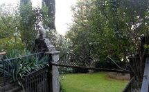 Foto indsendt af gæst på Montegufoni