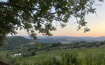 Foto indsendt af gæst på San Guido