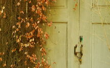 Foto indsendt af gæst på Villa Elisa