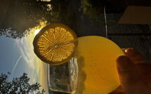 Foto indsendt af gæst på San Carlo