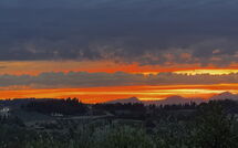Foto indsendt af gæst på San Carlo