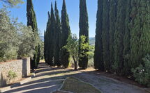 Foto indsendt af gæst på Villa Uccellaia