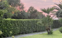 Foto indsendt af gæst på Cala Marina