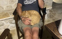 Foto indsendt af gæst på Villa Armonia