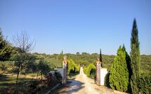 Foto indsendt af gæst på Podere Romina