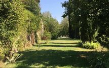 Foto indsendt af gæst på Montegufoni