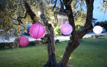 Foto indsendt af gæst på Podere Romina - Stalla Apartment