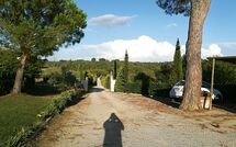 Foto indsendt af gæst på Podere Romina - Belvedere Apartment