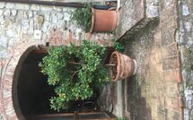 Foto indsendt af gæst på La Ruota