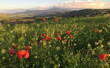 Foto indsendt af gæst på Montegufoni