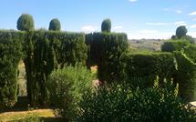 Foto indsendt af gæst på Montegufoni