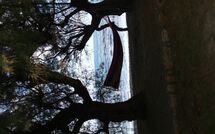 Foto indsendt af gæst på Villa Romantic Sevi