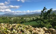 Foto indsendt af gæst på Casale Giotto