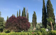 Foto indsendt af gæst på Villa Sabrina