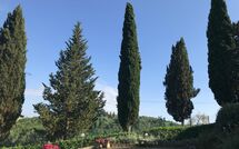 Foto indsendt af gæst på Villa Sabrina