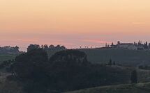 Foto indsendt af gæst på Tenuta Cambiano