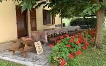 Foto indsendt af gæst på Tenuta Cambiano