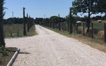 Foto indsendt af gæst på Villa dei Vini