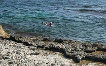 Foto indsendt af gæst på Marisol