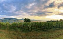 Foto indsendt af gæst på San Carlo