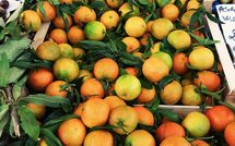 Foto indsendt af gæst på San Carlo