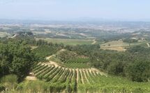 Foto indsendt af gæst på Villa Il Caggio