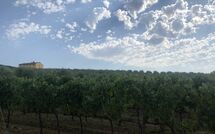 Foto indsendt af gæst på Villa Il Caggio