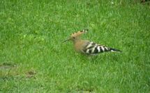Foto indsendt af gæst på Casa Lucia