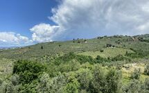 Foto indsendt af gæst på Villa Nora