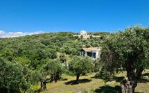 Foto indsendt af gæst på Villa di Giovanni